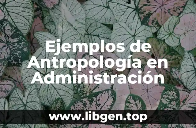 Ejemplos de Antropología en Administración