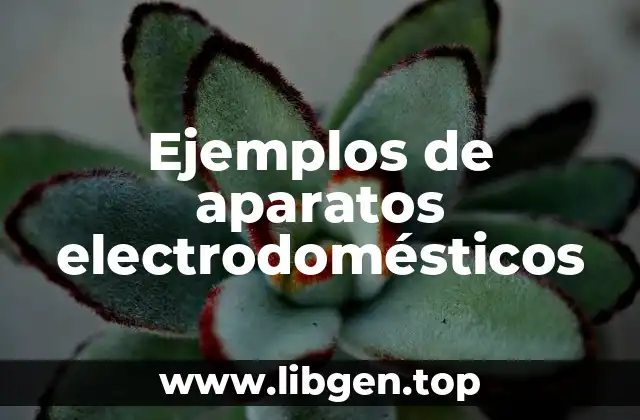 Ejemplos de aparatos electrodomésticos