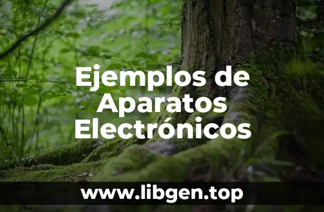 Ejemplos de Aparatos Electrónicos