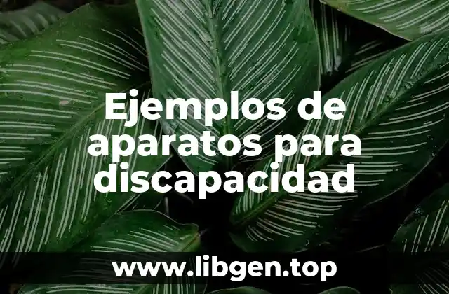 Ejemplos de aparatos para discapacidad