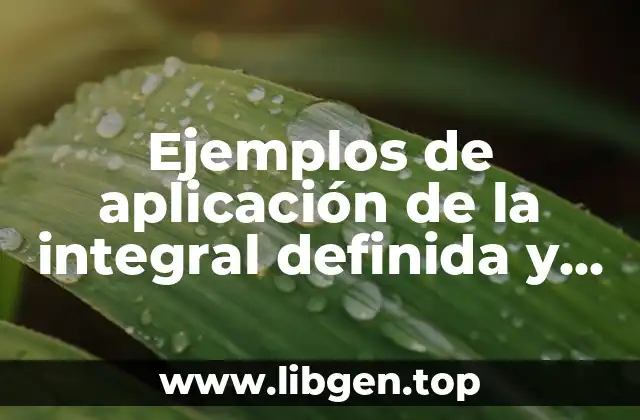 Ejemplos de aplicación de la integral definida y Significado