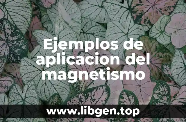 Ejemplos de aplicación del magnetismo