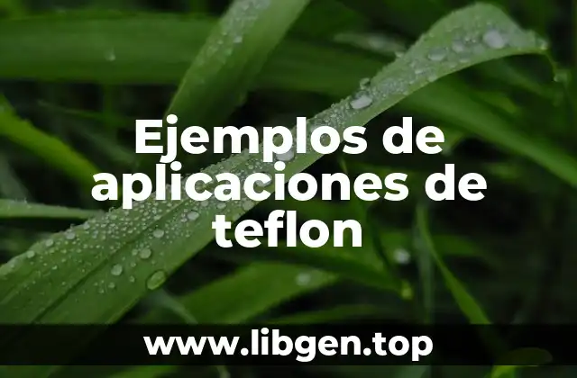 Ejemplos de aplicaciones de teflon