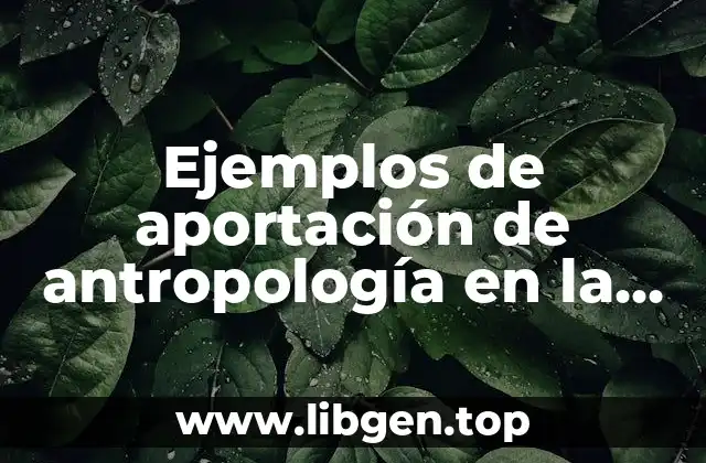 Ejemplos de aportación de antropología en la administración