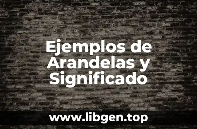 Ejemplos de Arandelas y Significado