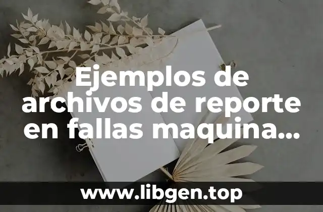 Ejemplos de archivos de reporte en fallas maquina bolseadora