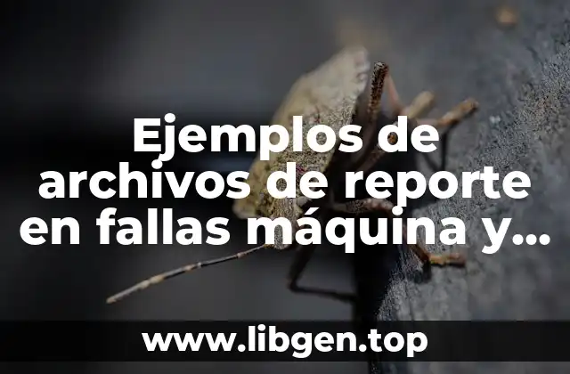 Ejemplos de archivos de reporte en fallas máquina y Significado