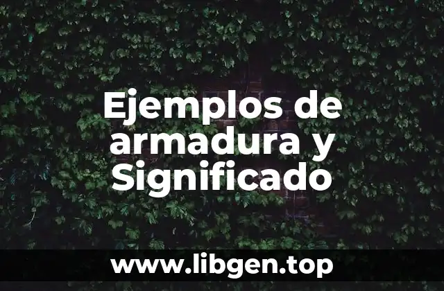 Ejemplos de armadura y Significado