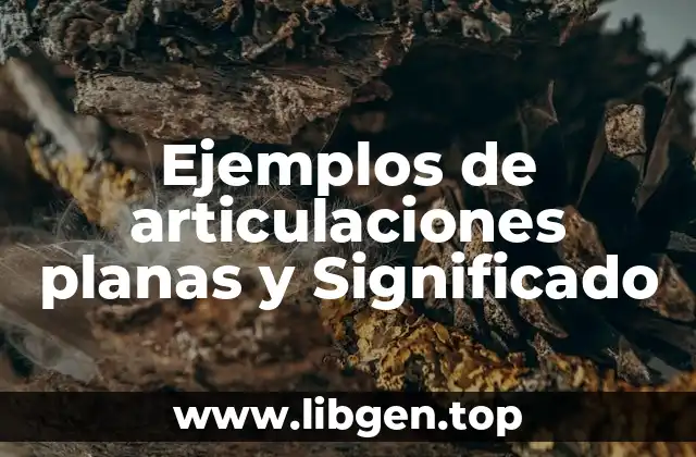 Ejemplos de articulaciones planas y Significado