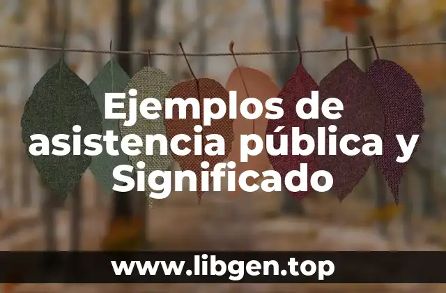 Ejemplos de asistencia pública y Significado