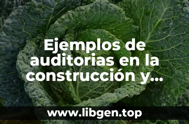 Ejemplos de auditorias en la construcción y Significado