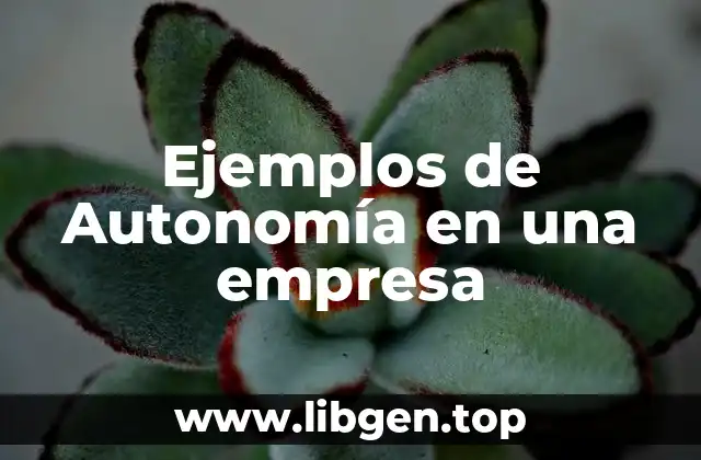 Ejemplos de Autonomía en una empresa