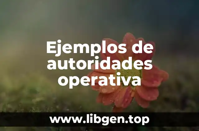 Ejemplos de autoridades operativa