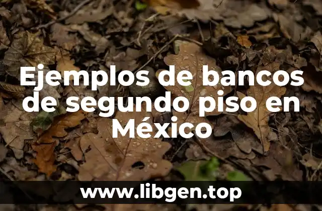 Ejemplos de bancos de segundo piso en México
