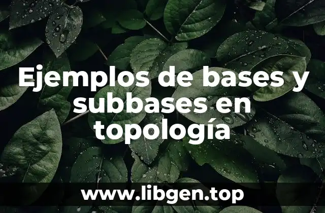 Ejemplos de bases y subbases en topología