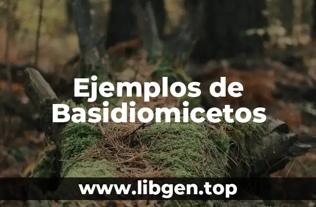 Ejemplos de Basidiomicetos