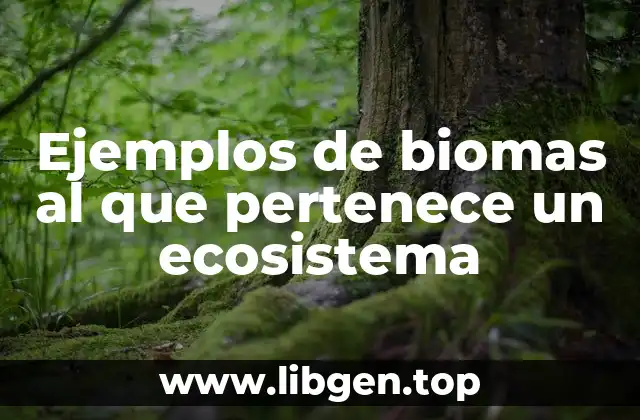 Ejemplos de biomas al que pertenece un ecosistema