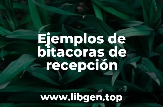 Ejemplos de bitacoras de recepción