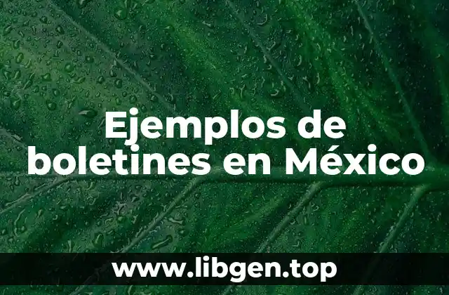 Ejemplos de boletines en México
