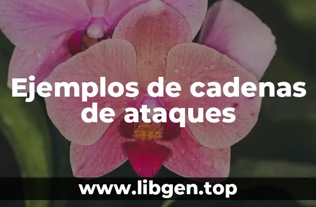 Ejemplos de cadenas de ataques