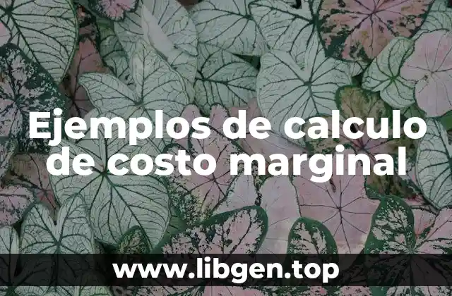 Ejemplos de calculo de costo marginal