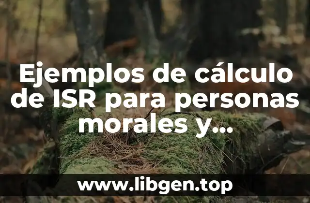 Ejemplos de cálculo de ISR para personas morales y Significado