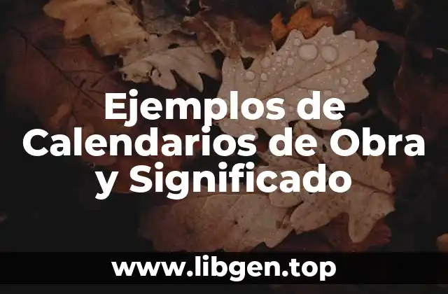 Ejemplos de Calendarios de Obra
