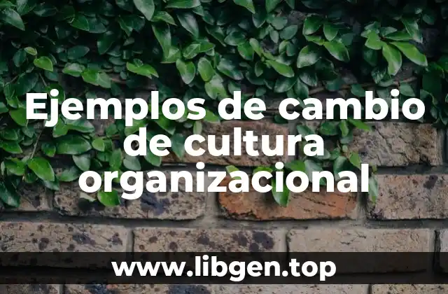 Ejemplos de cambio de cultura organizacional