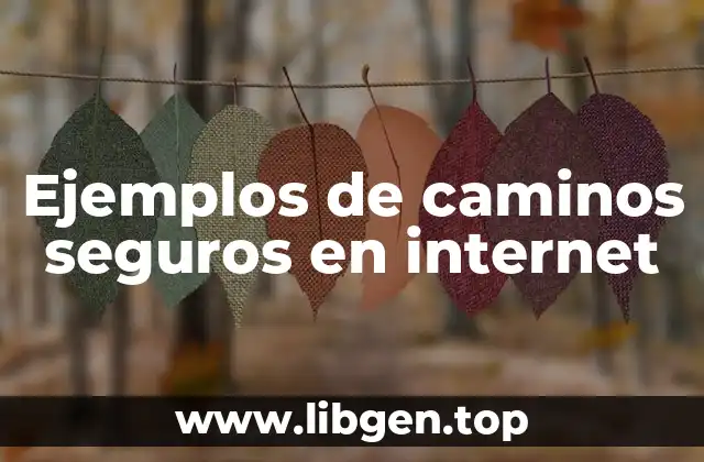 Ejemplos de caminos seguros en internet
