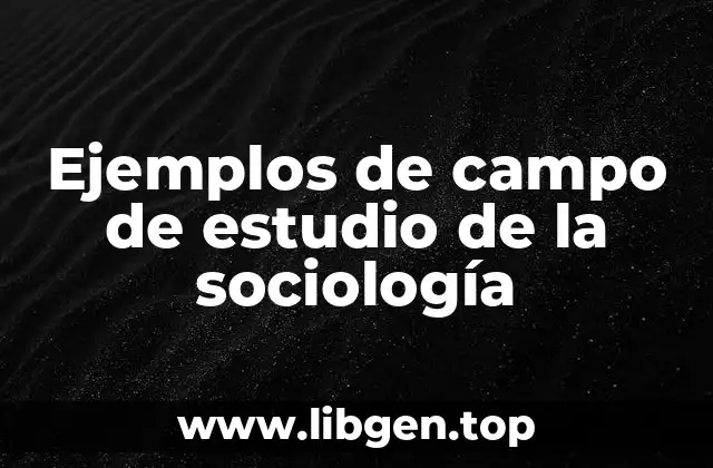 Ejemplos de campo de estudio de la sociología