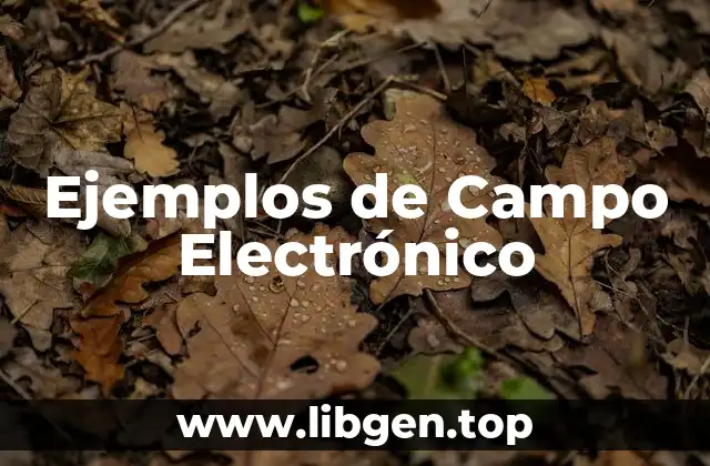 Ejemplos de Campo Eléctrico