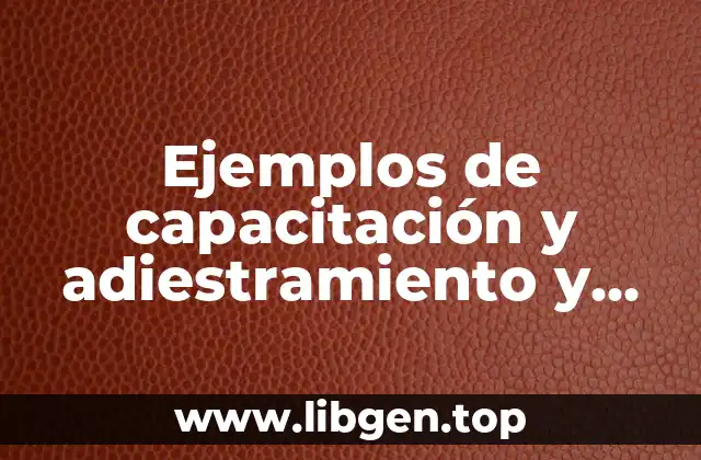 Ejemplos de capacitación y adiestramiento y Significado