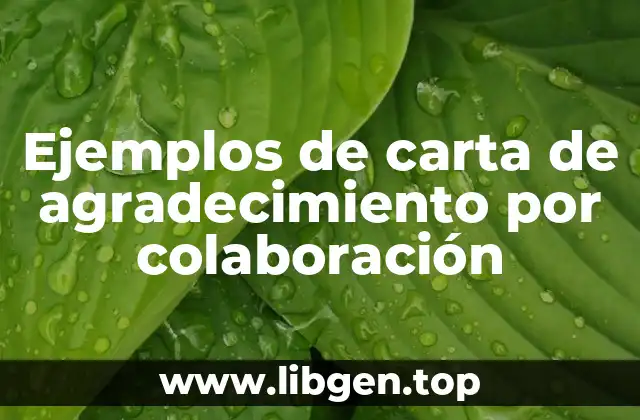Ejemplos de carta de agradecimiento por colaboración