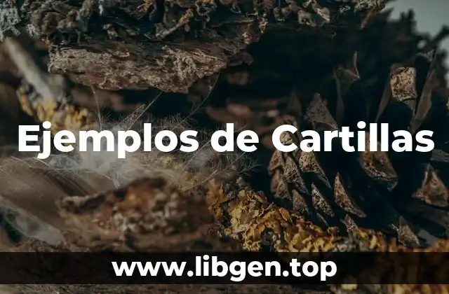 Ejemplos de Cartillas