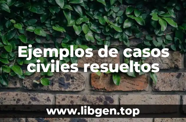 Ejemplos de casos civiles resueltos
