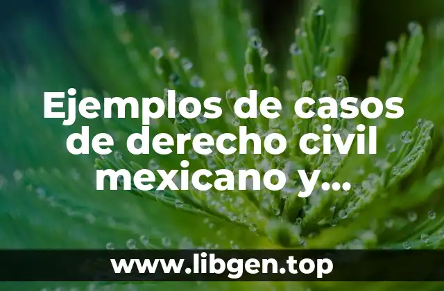 Ejemplos de casos de derecho civil mexicano y Significado