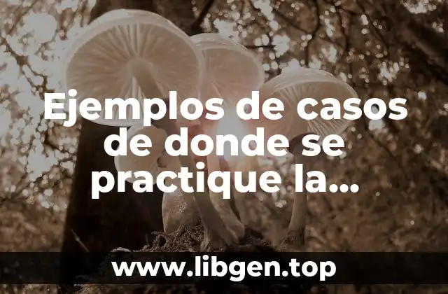 Ejemplos de casos de donde se practique la democracia