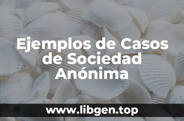Ejemplos de Casos de Sociedad Anónima