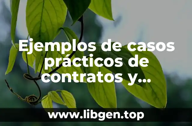 Ejemplos de casos prácticos de contratos y obligaciones
