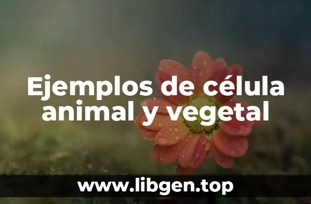Ejemplos de célula animal y vegetal