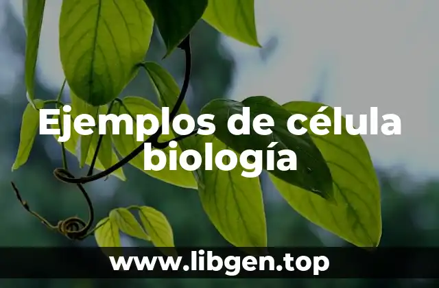 Ejemplos de célula biología
