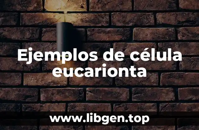 Ejemplos de célula eucarionta