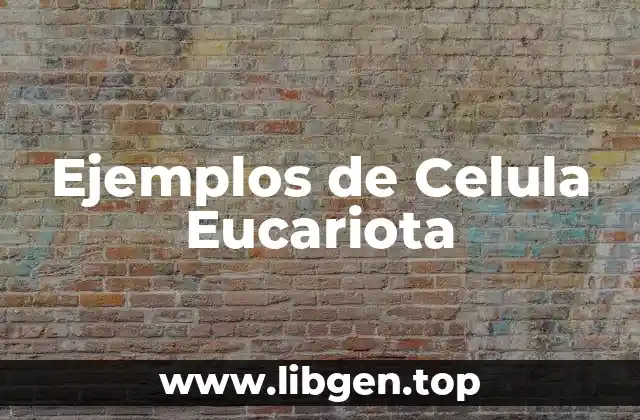Ejemplos de Celula Eucariota