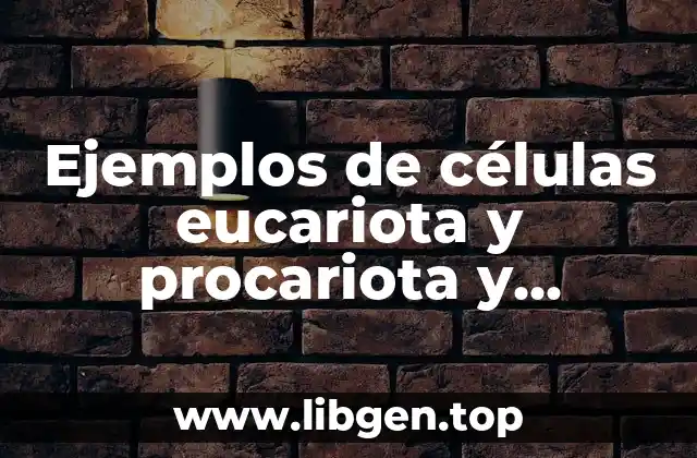 Ejemplos de células eucariota y procariota y Significado