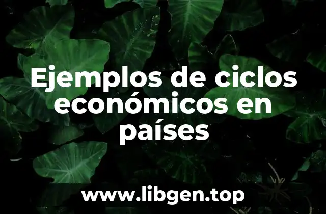 Ejemplos de ciclos económicos en países