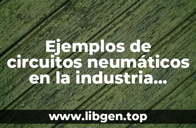 Ejemplos de circuitos neumáticos en la industria alimentaria