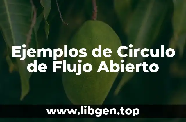 Ejemplos de Circulo de Flujo Abierto