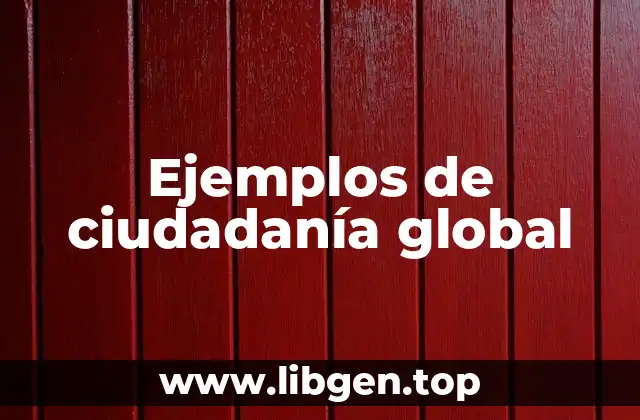 Ejemplos de ciudadanía global