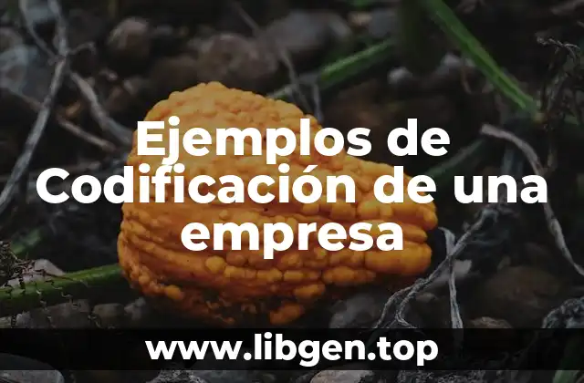 Ejemplos de Codificación de una empresa