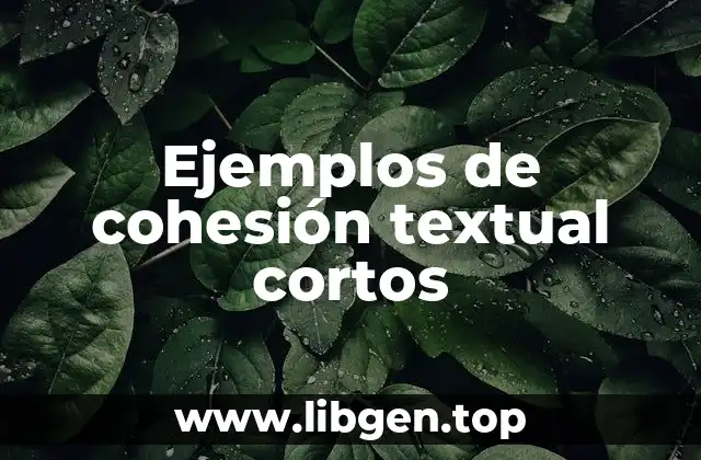 Ejemplos de cohesión textual cortos